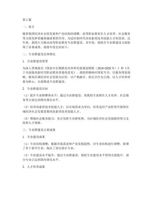 专业群建设年度总结(3篇)