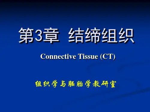 第三章 结缔组织