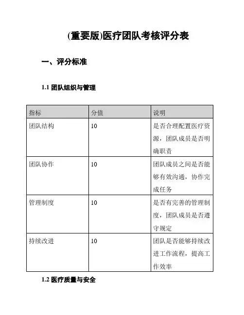 (重要版)医疗团队考核评分表
