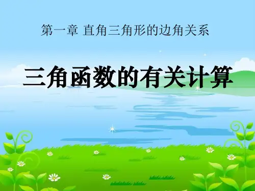 《三角函数的有关计算》直角三角形的边角关系ppt课件