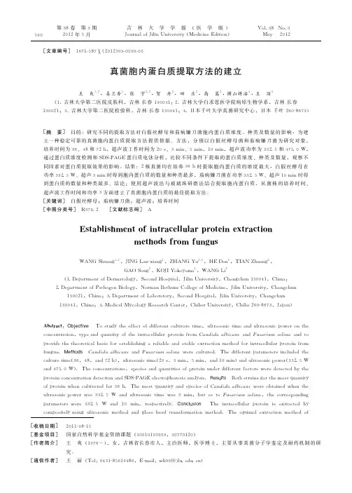 真菌胞内蛋白质提取方法的建立