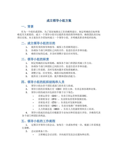 成立领导小组方案