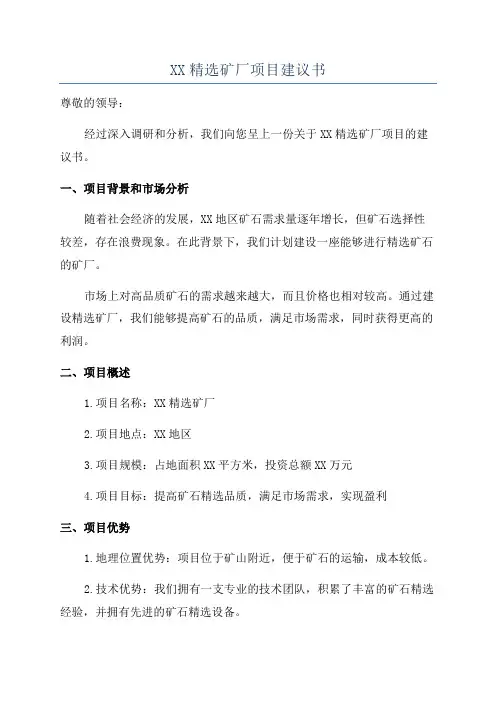 XX精选矿厂项目建议书