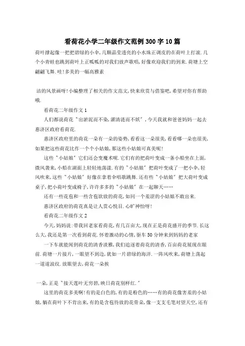 看荷花小学二年级作文范例300字10篇