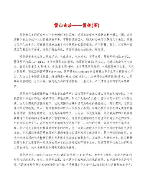 雪山奇珍——雪莲(图)