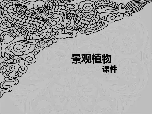 园林景观植物课件