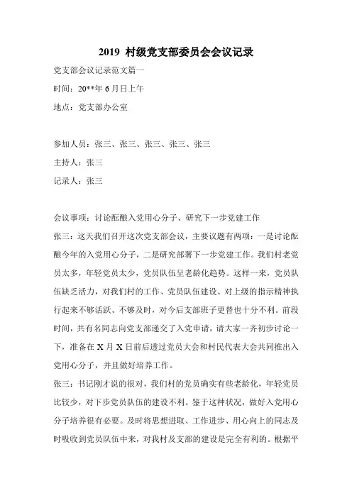2019 村级党支部委员会会议记录.doc