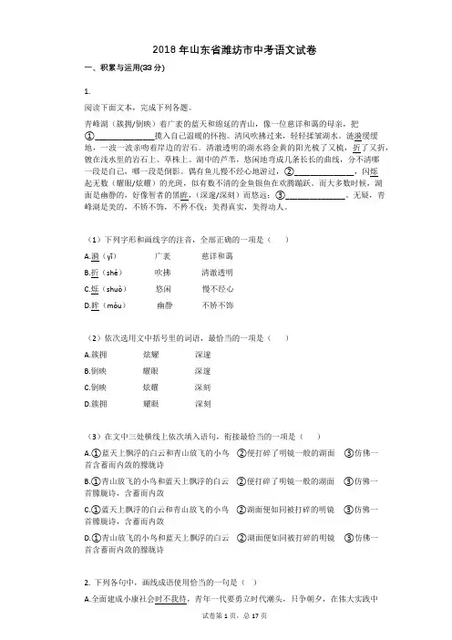 2018年山东省潍坊市中考语文试卷