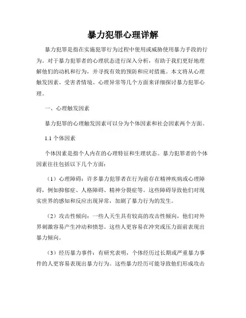 暴力犯罪心理详解