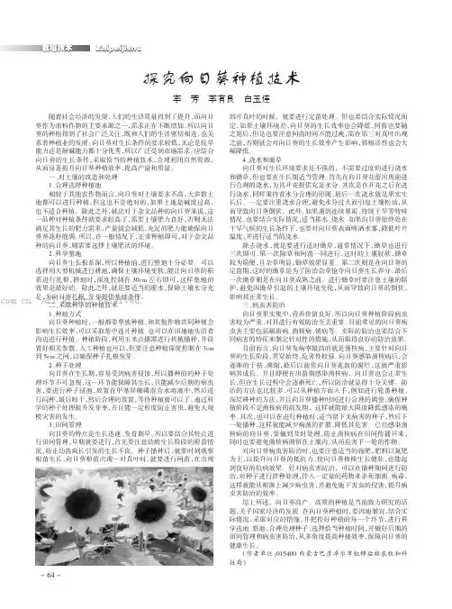 探究向日葵种植技术