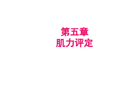 肌力评定 2讲解