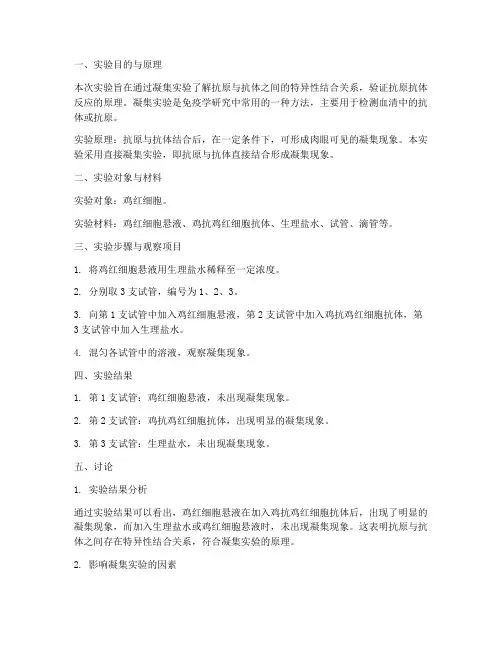 凝集实验报告实验讨论