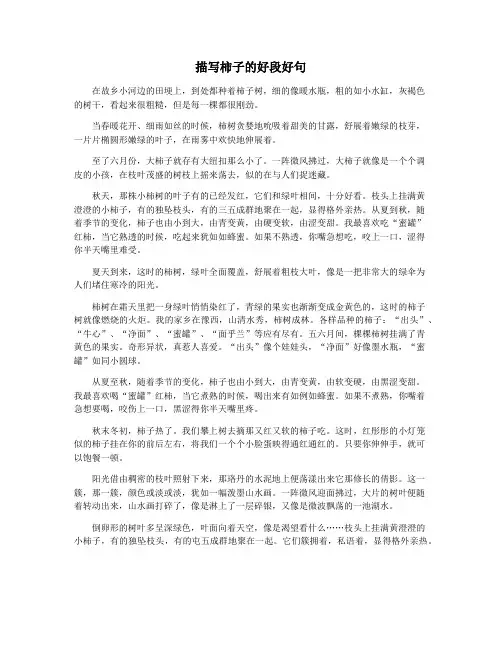 描写柿子的好段好句