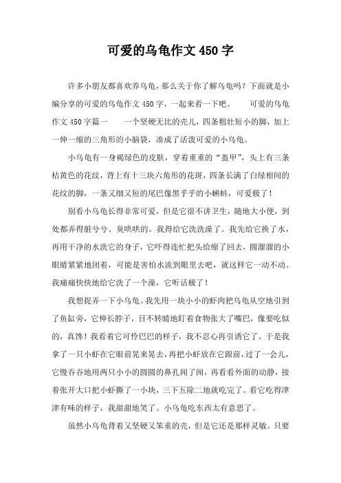 可爱的乌龟作文450字