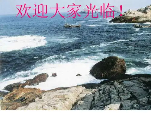八年级科学物质在水中的分散状况6 优质课件