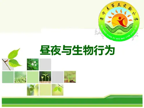 四年级上册科学课件15 昼夜与生物行为丨冀教版 (共23页)PPT
