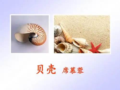 18《短文两篇·贝壳》教程