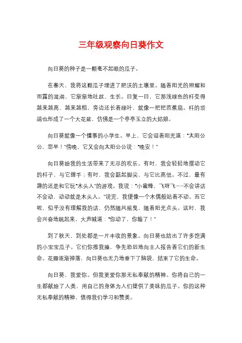 三年级观察向日葵作文