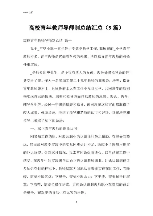 高校青年教师导师制总结汇总(5篇)