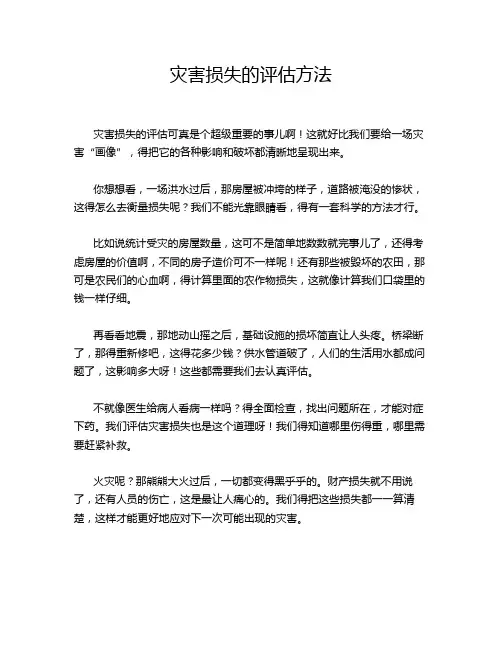 灾害损失的评估方法