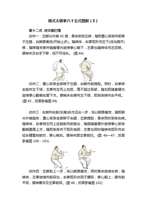 杨式太极拳八十五式图解（5）