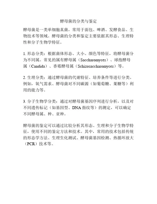酵母菌的分类与鉴定