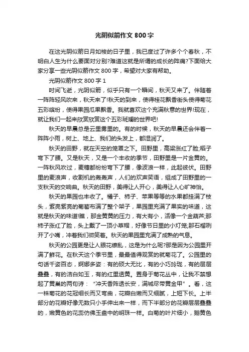 光阴似箭作文800字