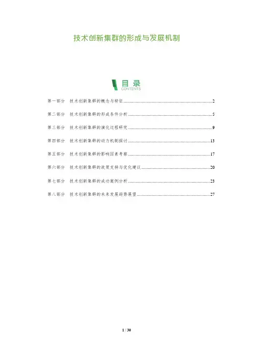30_技术创新集群的形成与发展机制