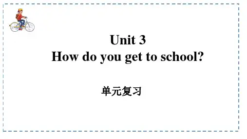 Unit+3+单元复习 人教版七年级英语下册