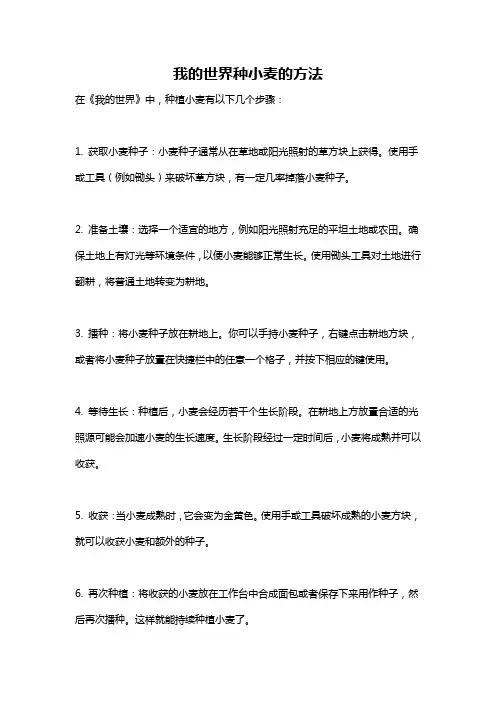 我的世界种小麦的方法