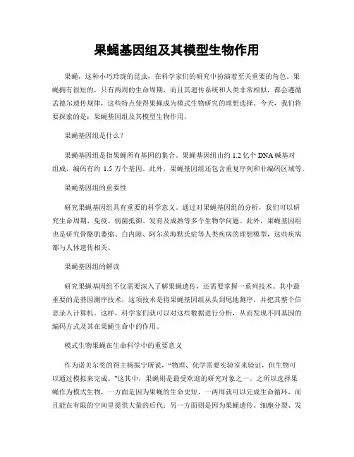 果蝇基因组及其模型生物作用