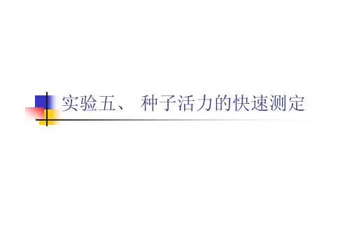 实验五、种子活力的快速测定