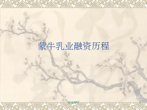 《案例蒙牛融资历程》PPT课件