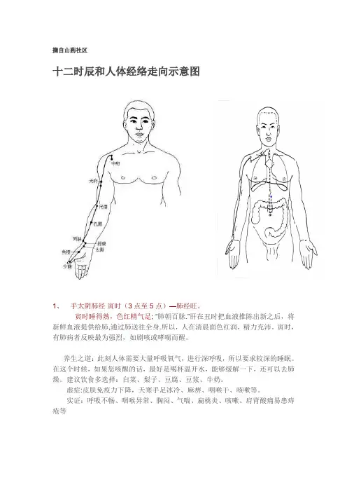 十二时辰和人体经络走向示意图79429