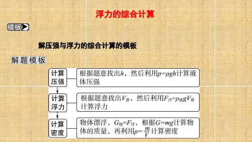 中考物理梳理复习    浮力的综合计算(课件)