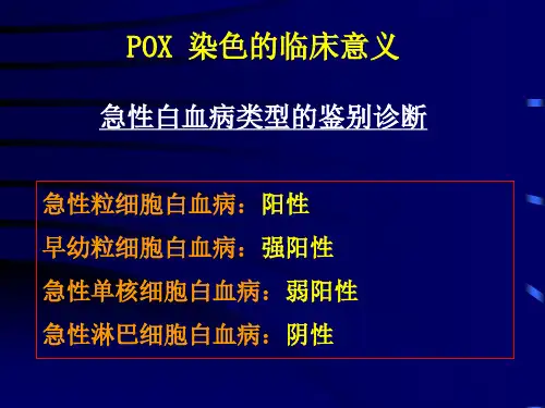 POX染色的临床意义急性白血病类型的鉴别诊断PPT课件