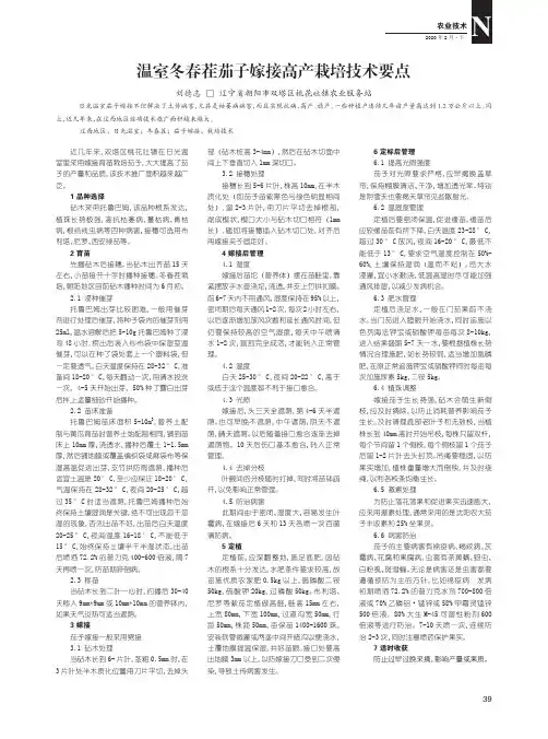 温室冬春茬茄子嫁接高产栽培技术要点