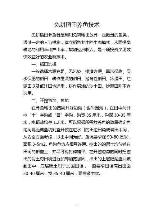 免耕稻田养鱼技术
