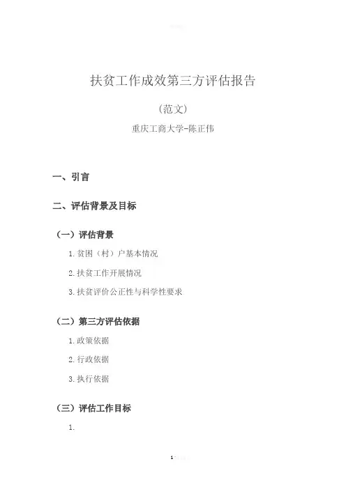 陈正伟-扶贫工作第三方评估报告(范文)