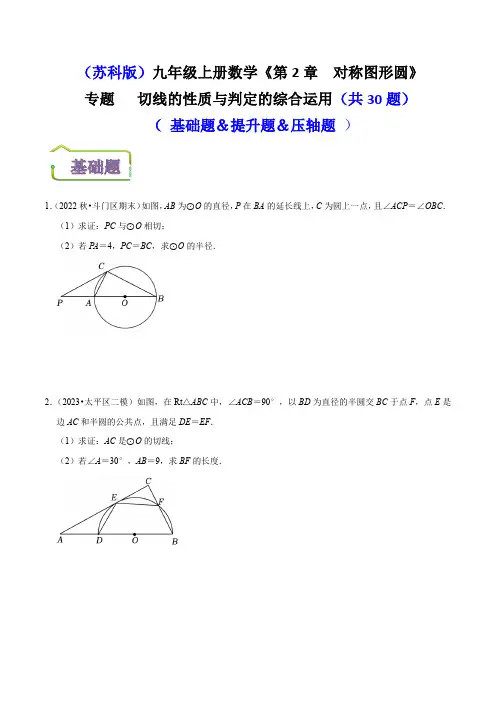 专题切线的判定与性质的综合运用(共30题)(基础题提升题压轴题)(原卷版)