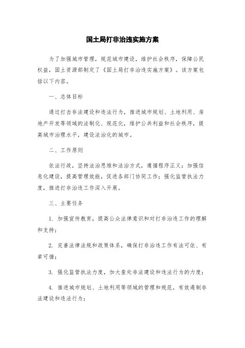 国土局打非治违实施方案