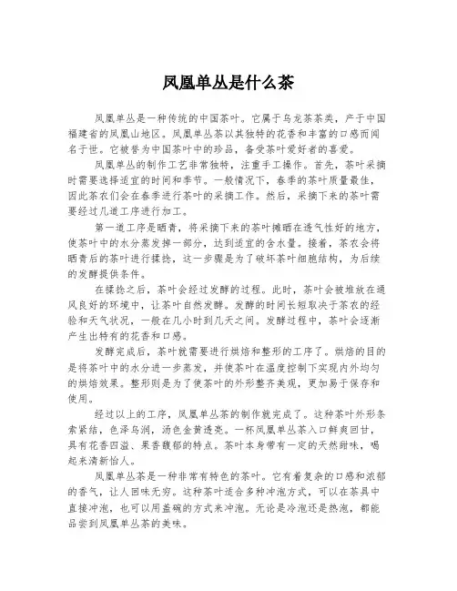 凤凰单丛是什么茶
