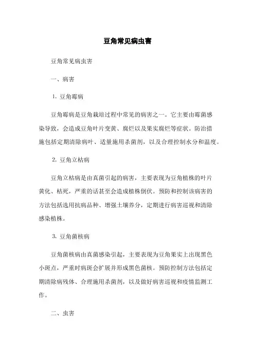 豆角常见病虫害