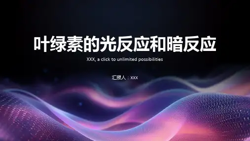 叶绿素的光反应和暗反应