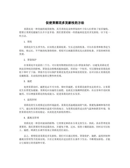 促使茉莉花多发新枝的方法