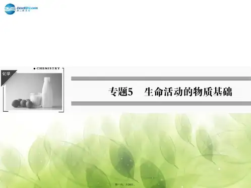 高中化学 专题5 第2单元 氨基酸 蛋白质 核酸课件 苏教版选修5