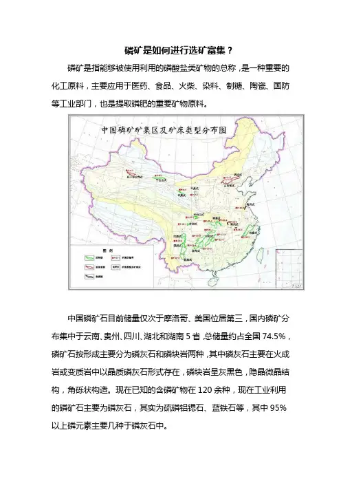 磷矿是如何进行选矿富集？