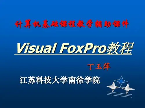 VFP教程10版