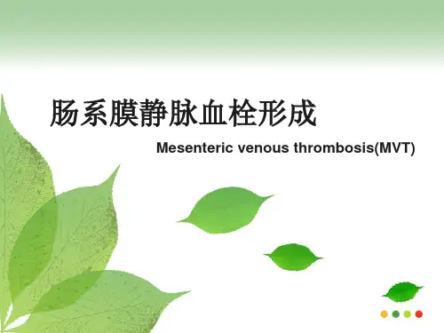 肠系膜静脉血栓形成PPT医学课件