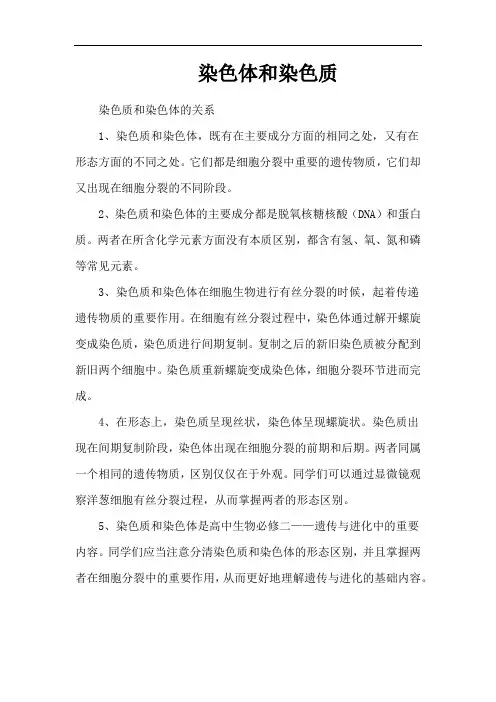 染色体和染色质